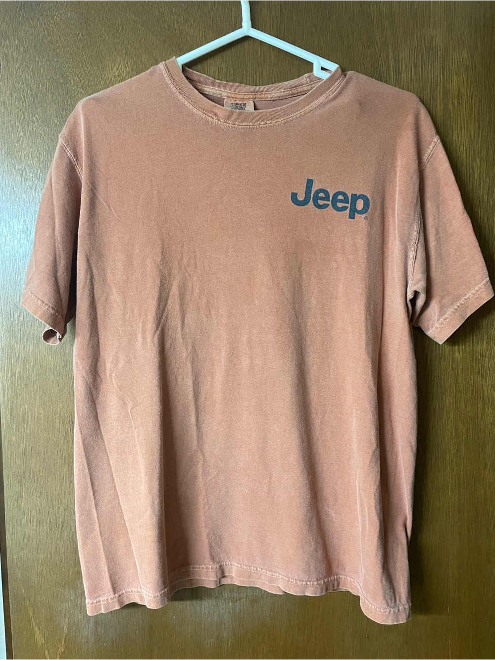 Comfort Colors Men’s Short Sleeve Tee in Rust